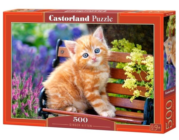 B-52240 Castorland Puzzle Ginger Kitten
