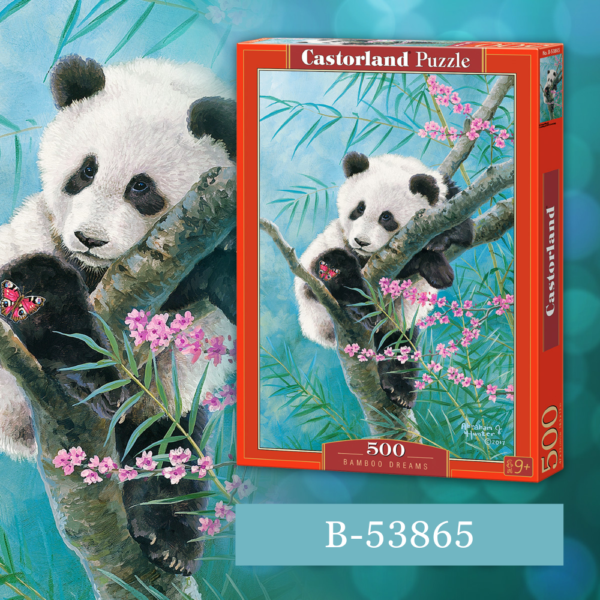 Пазл Bamboo Dreams, Castorland Puzzle EAN: 5904438053865
