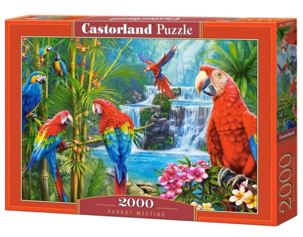 C-200870 Castorland Puzzle, Parrot Meeting