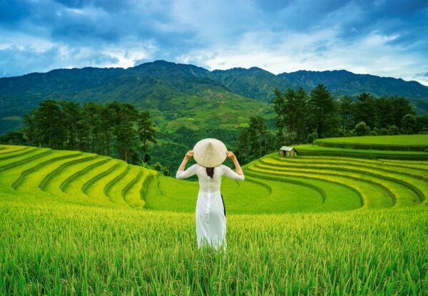 Пазл Касторленд C-105052, Рисовые поля во Вьетнаме